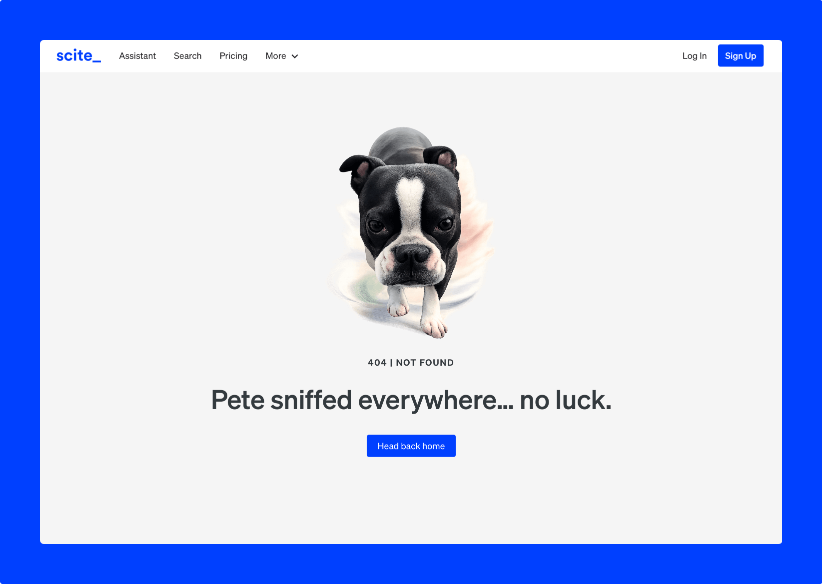 Better Error Pages